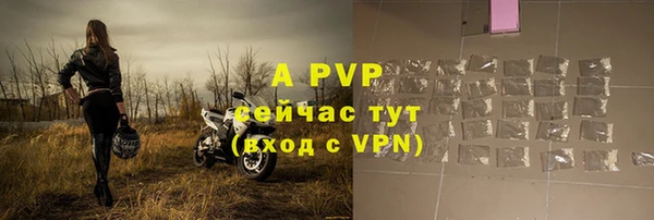 дмт Богородицк