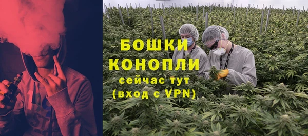 прущая мука Богородск