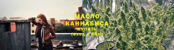 дмт Богородицк