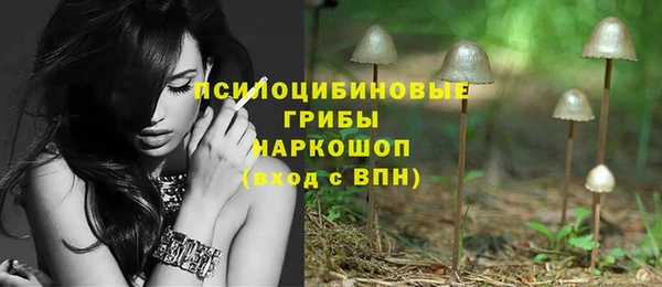 дмт Богородицк