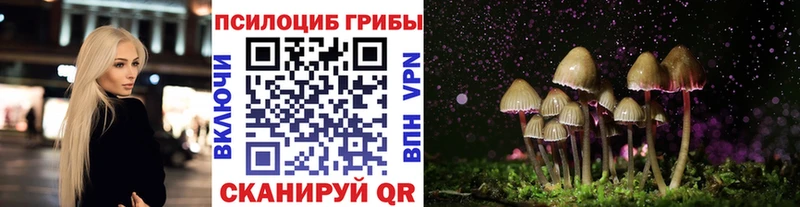 закладка  Калязин  KRAKEN как зайти  Галлюциногенные грибы Magic Shrooms 